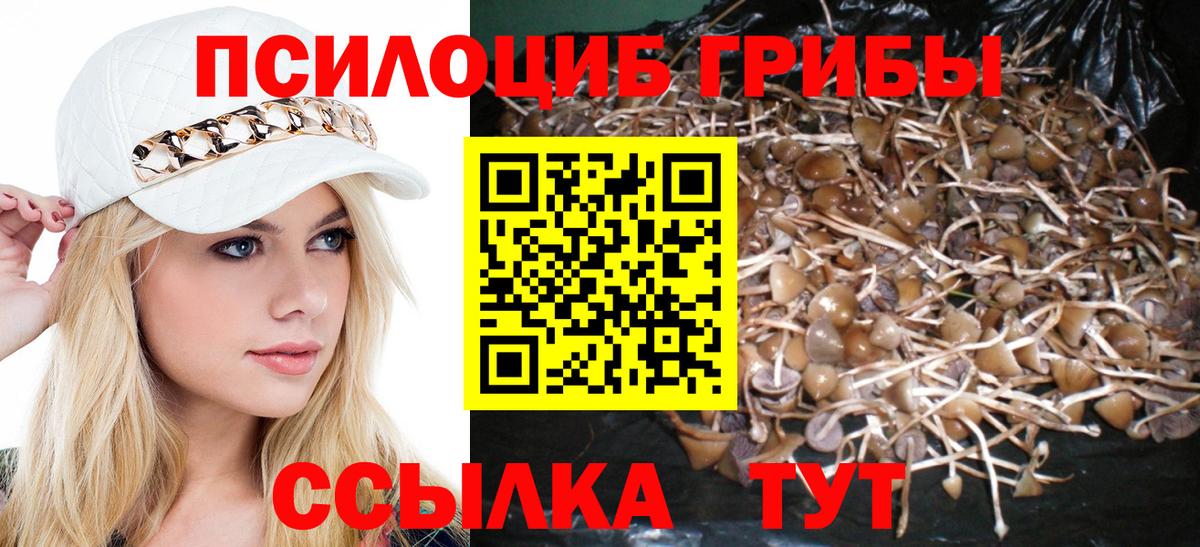 Псилоцибиновые грибы ЛСД  Вход с VPN  Норильск 